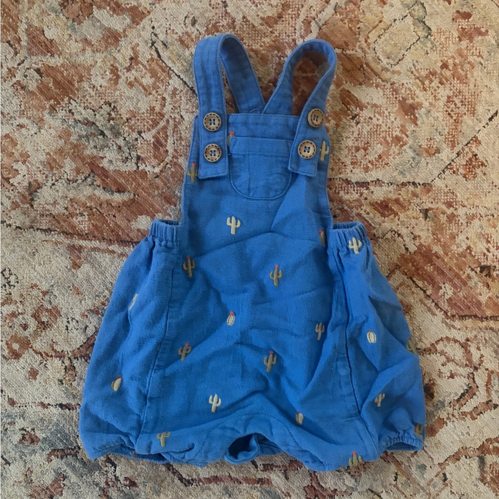 Blue Cactus Print Overalls, 6-12M